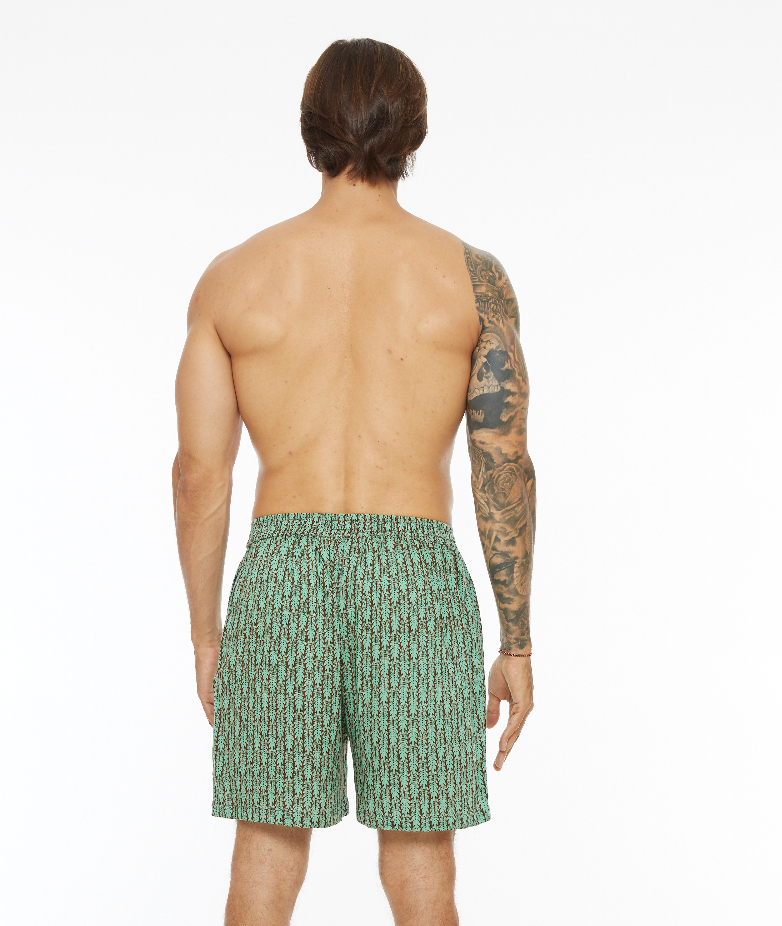 Shorts AVENTURINE men